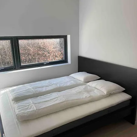 Exclusive In - Hollen *