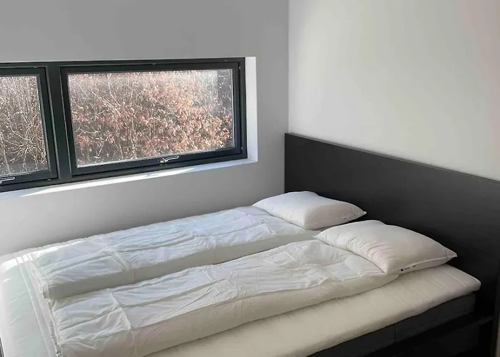 Exclusive In - Hollen *